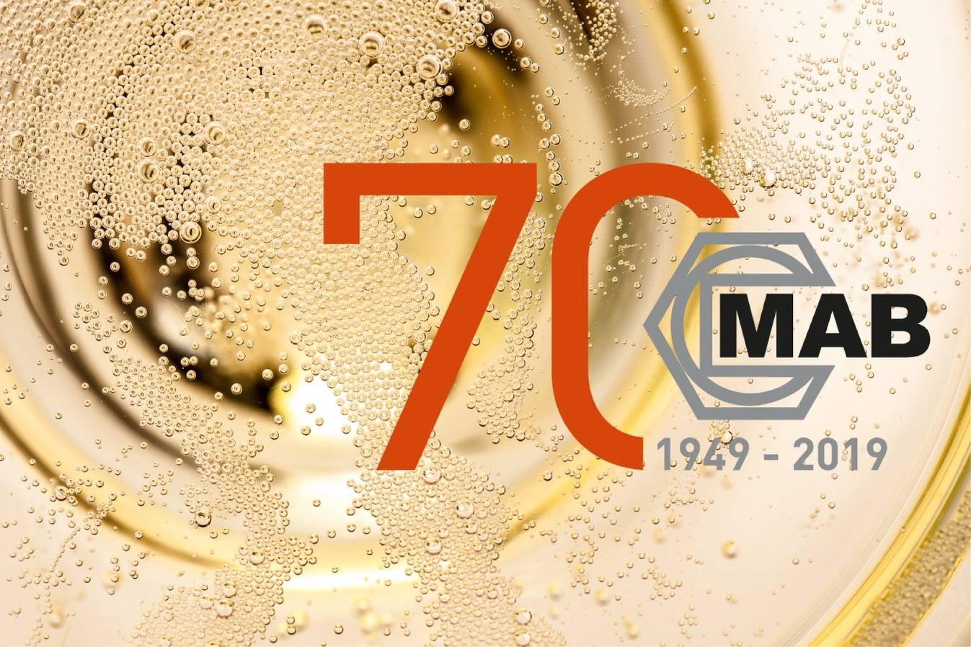 Metallurgica Alta Brianza, 70 years of pure passion.