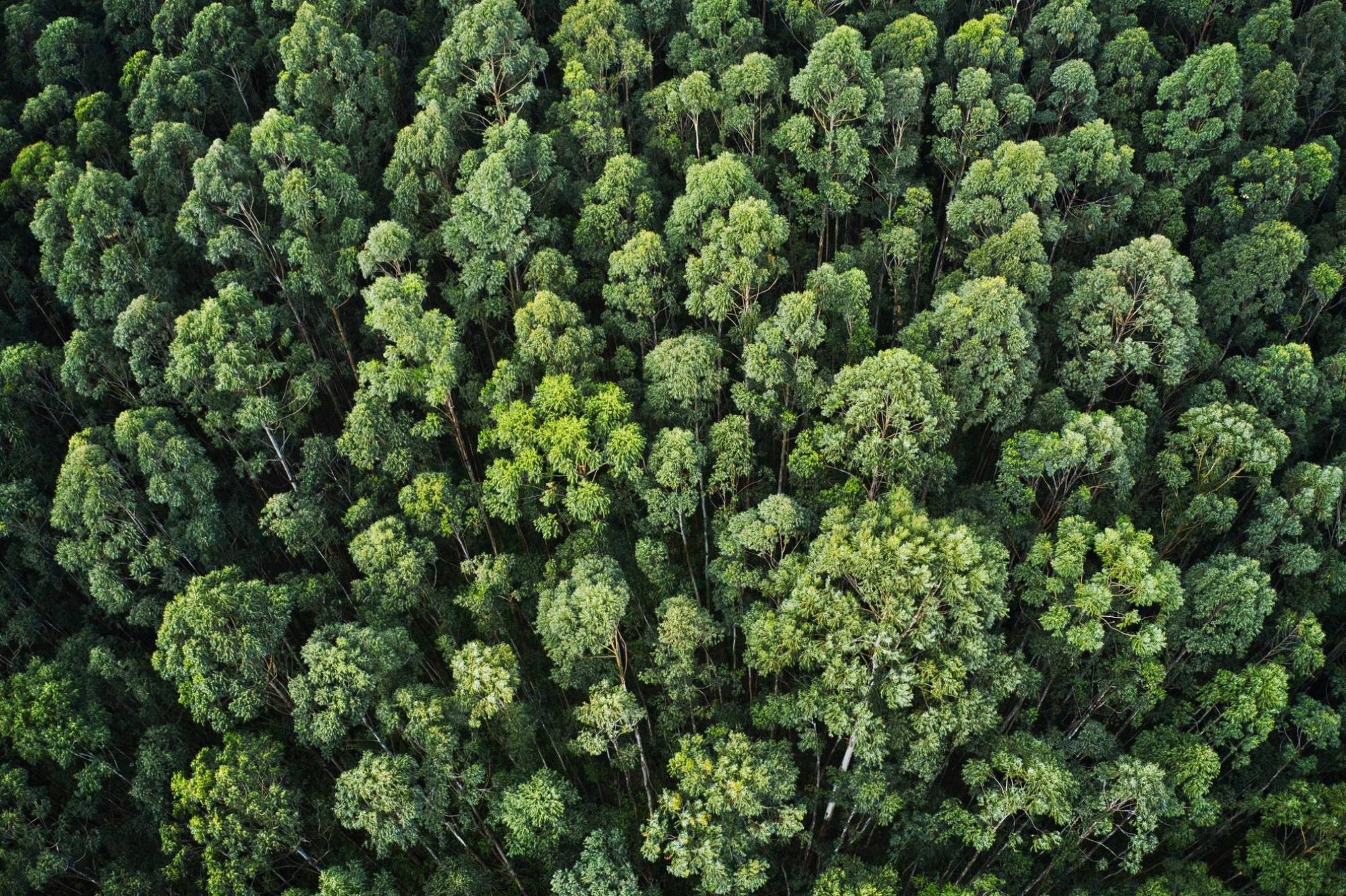 Armonia e Contrasto! 